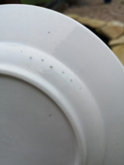 Assiette en porcelaine de Tournai décor aux petits glands. – Image 3