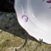 Assiette en porcelaine de Tournai polychrome à décor d'un bouquet central en camaïeu pourpre. – Image 4